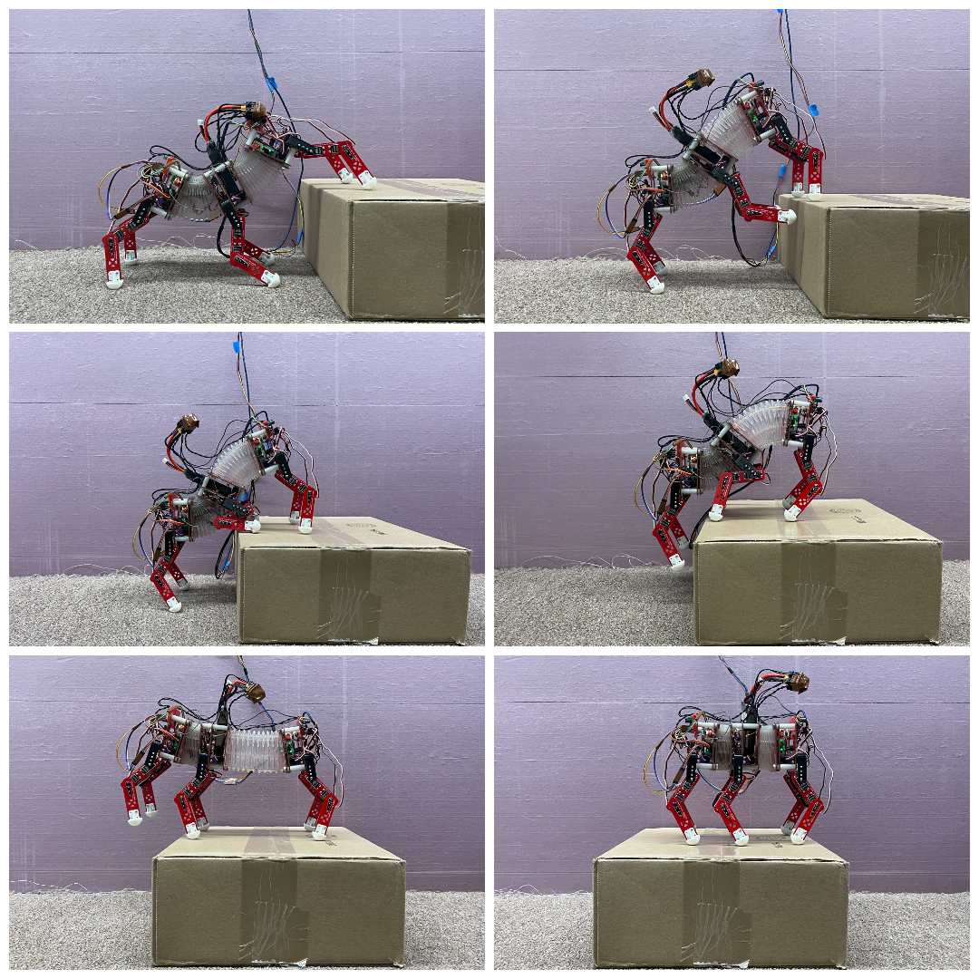 HexaFlex: Design and Testing of a Hexapod with a Flexible Origami-Inspired Spine